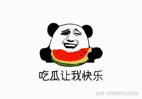 吃瓜的吃瓜群众,一场全民参与的娱乐盛宴