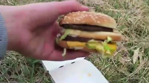 火车吃汉堡的瓜,一场美食与旅行的奇妙邂逅