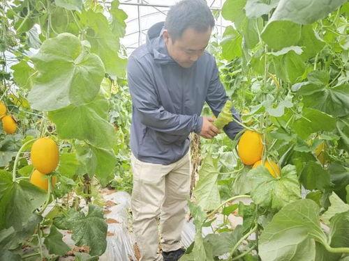 桂林路长春吃瓜,街头吃瓜，品味市井生活百态