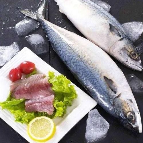 鱼仔和平精英吃瓜,揭秘游戏圈幕后趣闻