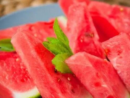 画人吃瓜的样子,人形瓜食图鉴