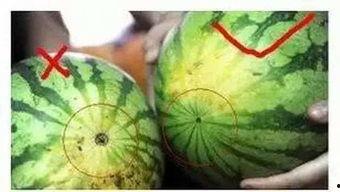 福州轨迹吃瓜视频,吃瓜视频带你探秘事件真相