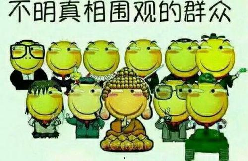 吃瓜群众威信群,网络社交新现象背后的故事